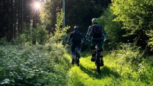 Mountainbiker auf legalem Trail DIMB